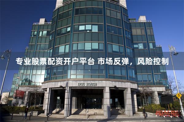 专业股票配资开户平台 市场反弹，风险控制