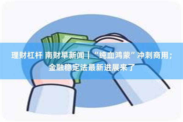 理财杠杆 南财早新闻｜“纯血鸿蒙”冲刺商用；金融稳定法最新进展来了