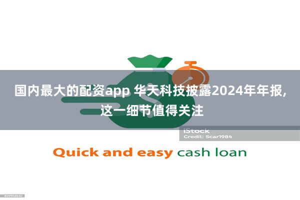 国内最大的配资app 华天科技披露2024年年报, 这一细节值得关注