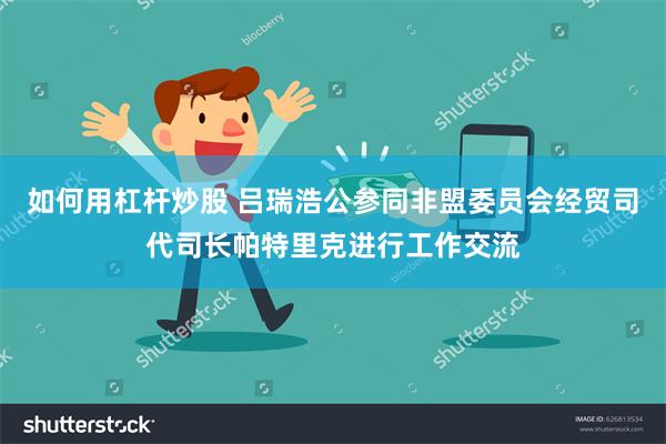 如何用杠杆炒股 吕瑞浩公参同非盟委员会经贸司代司长帕特里克进行工作交流