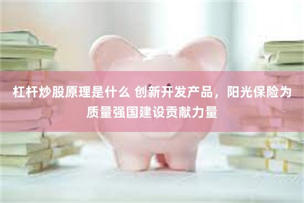 杠杆炒股原理是什么 创新开发产品，阳光保险为质量强国建设贡献力量