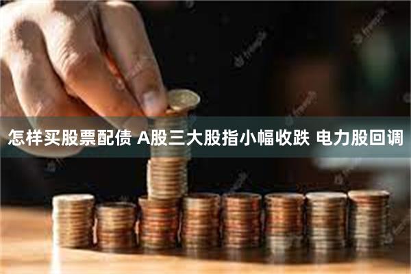 怎样买股票配债 A股三大股指小幅收跌 电力股回调
