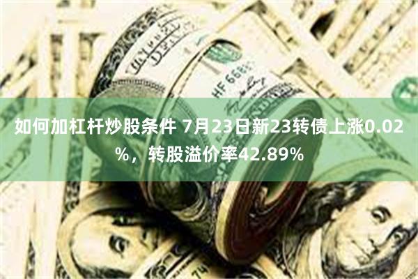 如何加杠杆炒股条件 7月23日新23转债上涨0.02%，转股溢价率42.89%