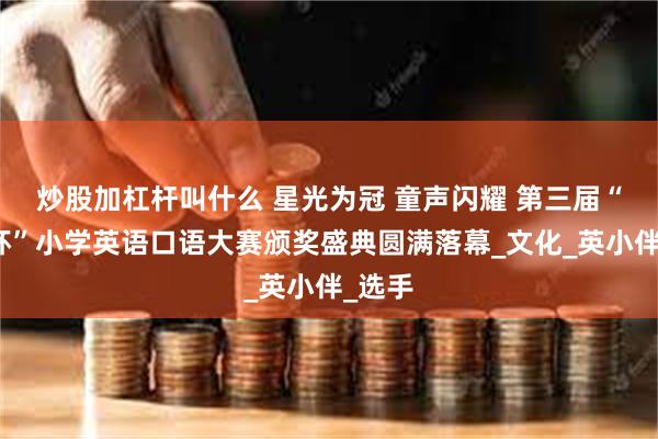 炒股加杠杆叫什么 星光为冠 童声闪耀 第三届“新星杯”小学英语口语大赛颁奖盛典圆满落幕_文化_英小伴_选手