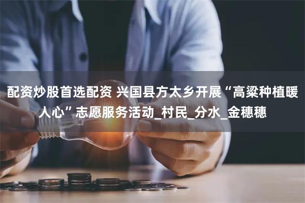 配资炒股首选配资 兴国县方太乡开展“高粱种植暖人心”志愿服务活动_村民_分水_金穗穗