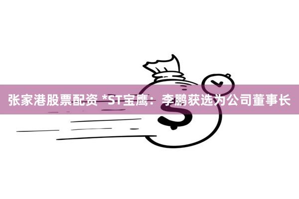 张家港股票配资 *ST宝鹰：李鹏获选为公司董事长